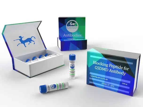 Amyloid Precursor C-Terminal Peptide - 10mg