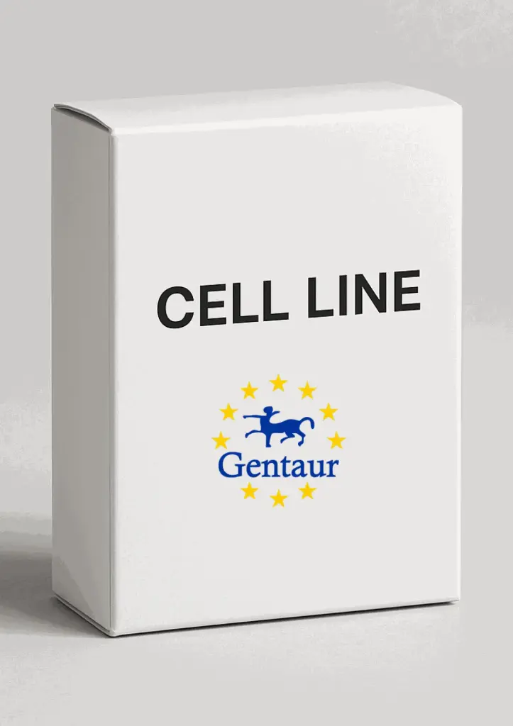 HEK293T/Human KIR3DL2 Stable Cell Line