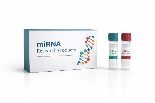 [PO-0041] MiRNA Real-Time PCR Assay Kit with miR-99a